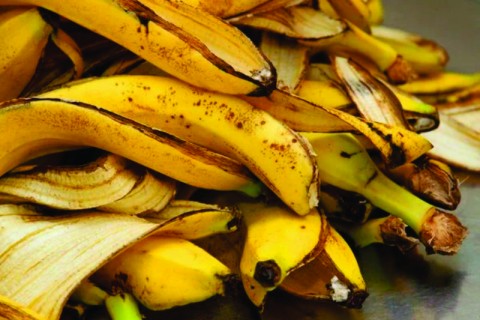 Dicas de Beleza, quais são os efeitos da casca de banana no rosto