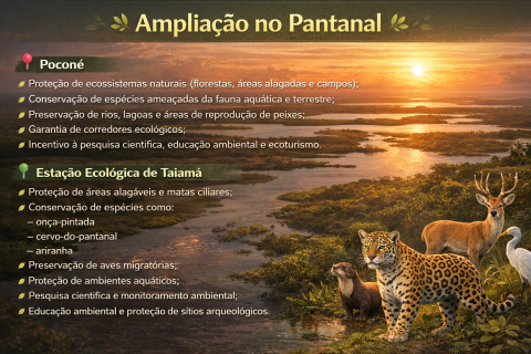 Lula amplia áreas de preservação no Pantanal em Poconé e Cáceres